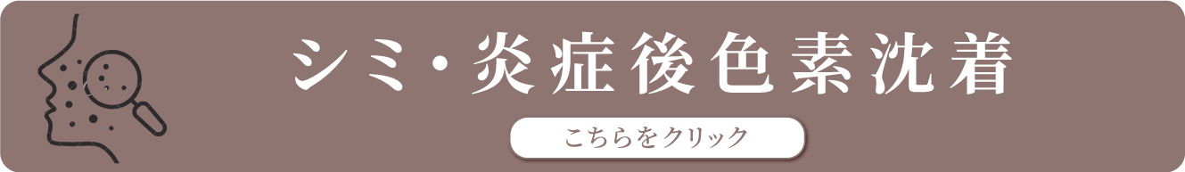 しみしわたるみの注入系